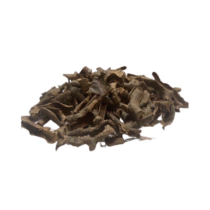 بخور فيزا موري تقبل سوبر